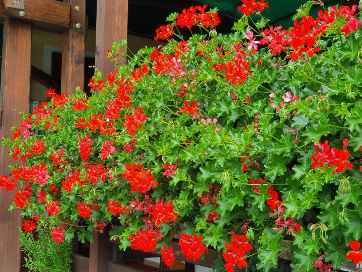 Hotel Ristorante Chateau 3*